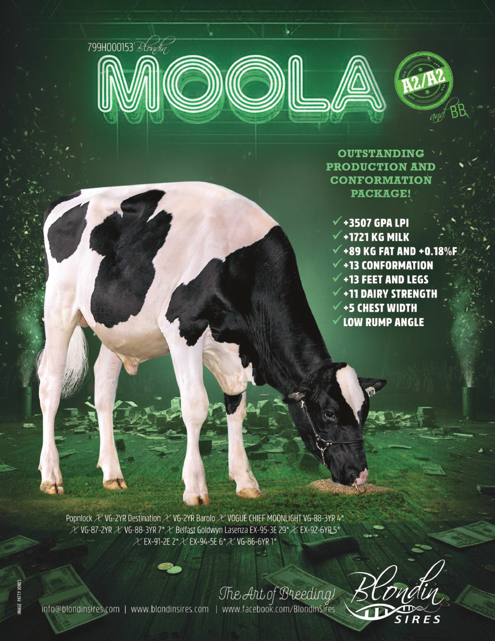 MOOLA — 799HO00153